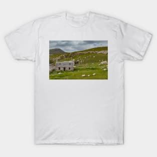 Old Stone House T-Shirt